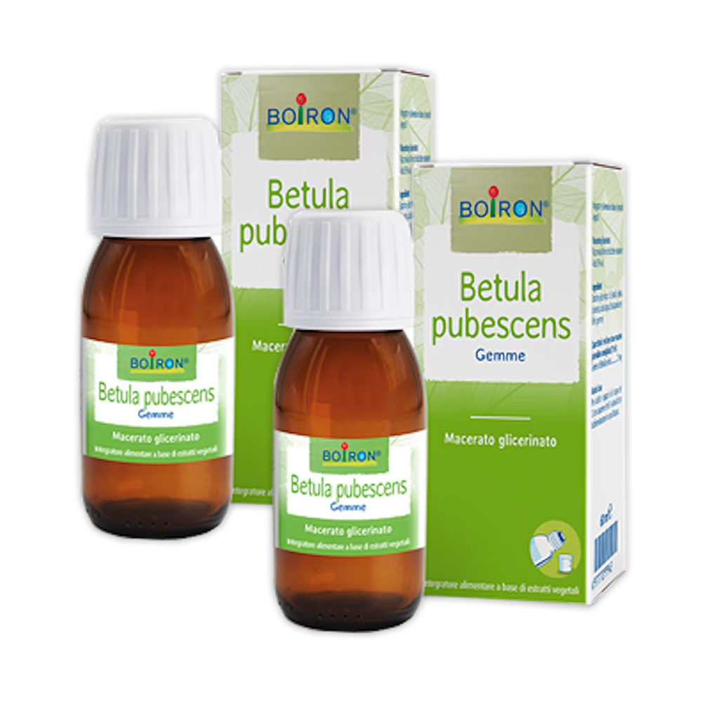 BIPACK Betula pubescens Gemme