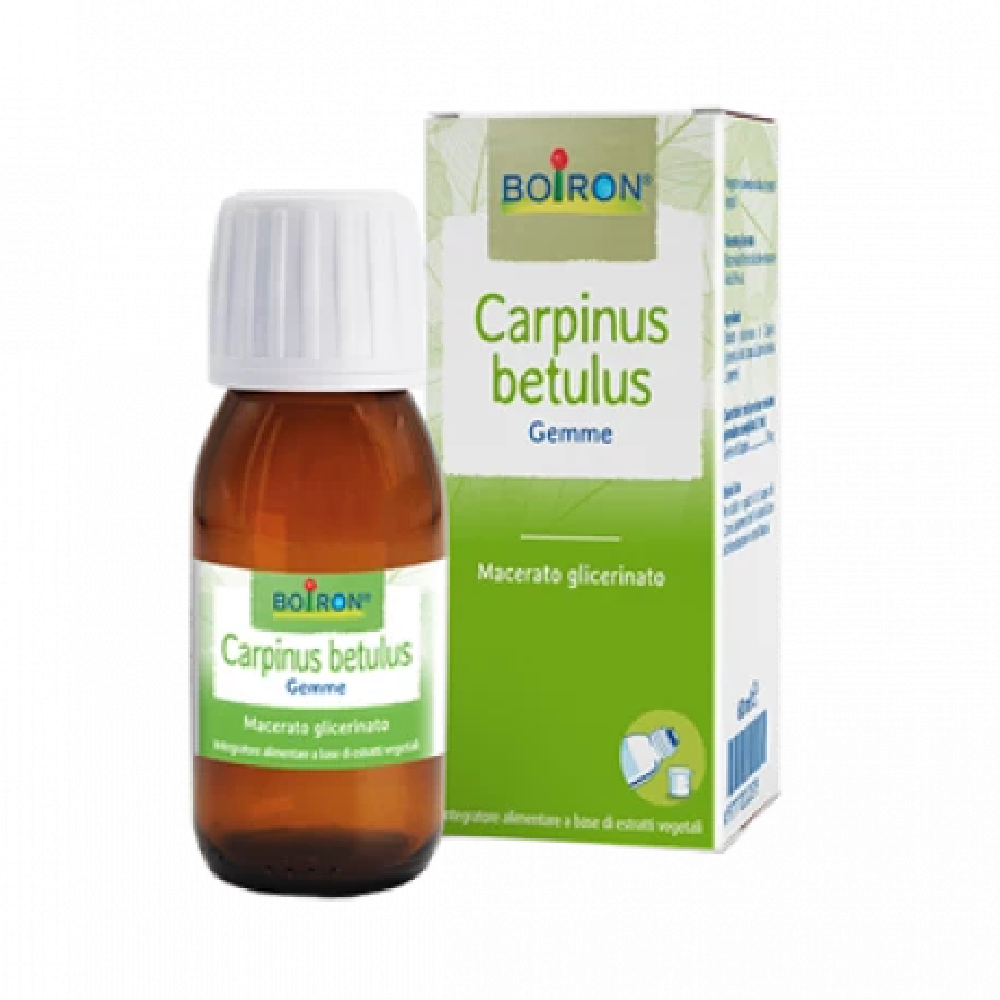 Boiron Carpinus betulus Gemme