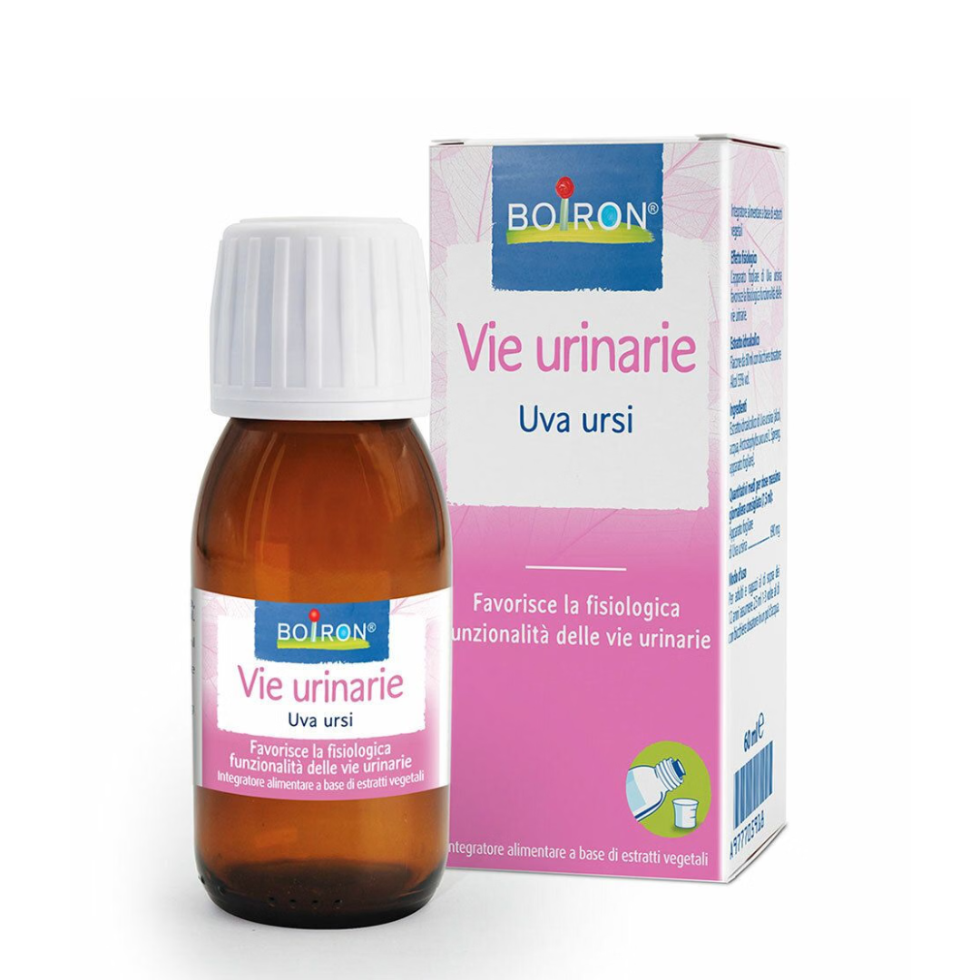 Uva ursi